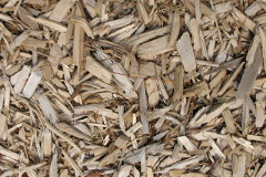 biomass boilers Nutbourne Common